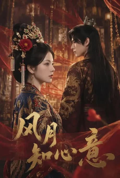 风月知心意海报