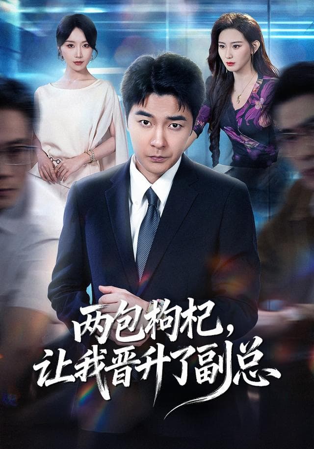 两包枸杞，让我晋升了副总海报