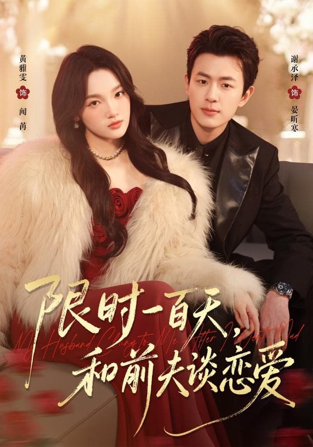 限时一百天，和前夫谈恋爱海报