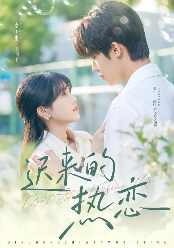 迟来的热恋海报