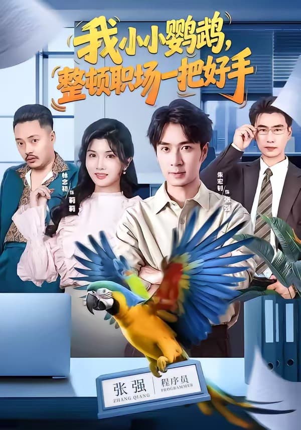 我小小鹦鹉，整顿职场一把好手海报