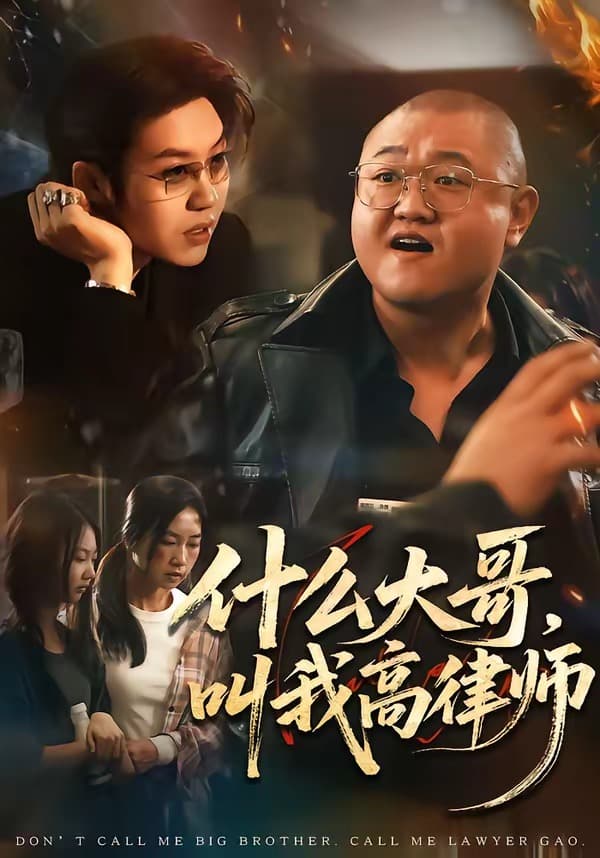 什么大哥，叫我高律师海报