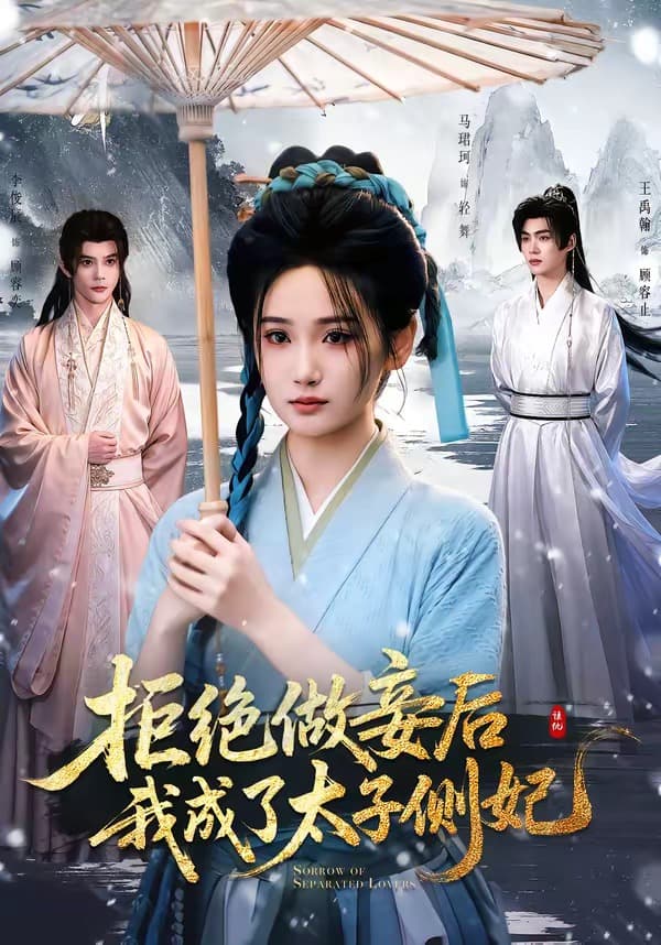 拒绝做妾后我成了太子侧妃海报