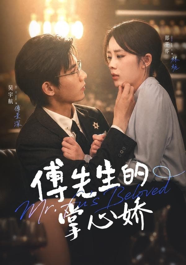傅先生的掌心娇海报