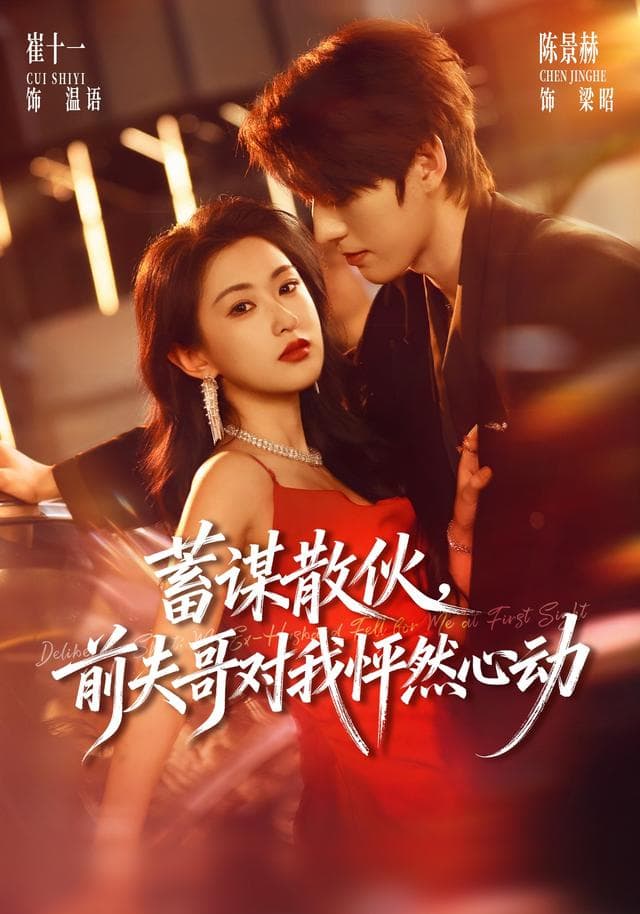 蓄谋散伙，前夫哥对我怦然心动海报
