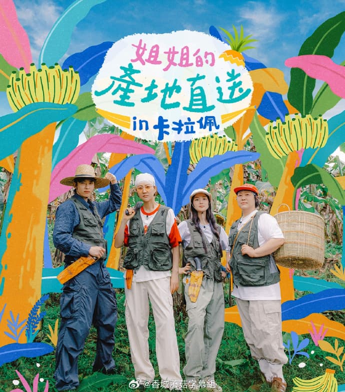 姐姐家的产地直送3海报