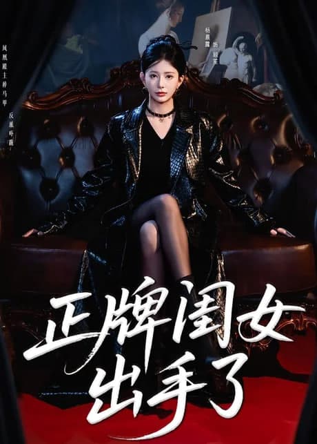 正牌闺女出手了海报