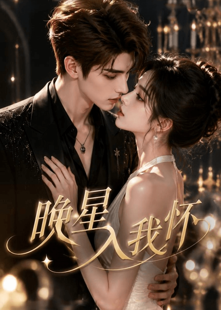 晚星入我怀海报