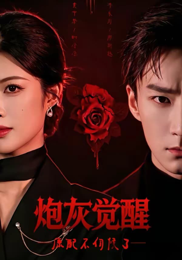 炮灰觉醒，原配不伺候了海报
