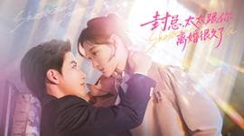 封总，太太跟你离婚很久了海报