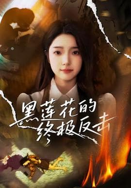 黑莲花的终极反击海报