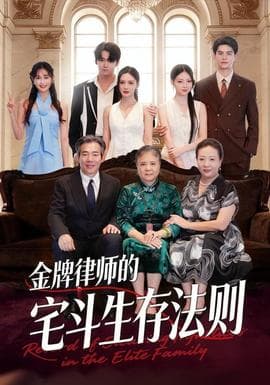 金牌律师的宅斗生存法则海报