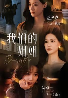 我们的姐姐海报