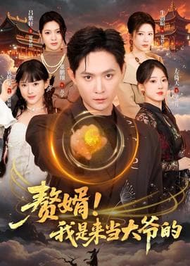 赘婿！我是来当大爷的海报