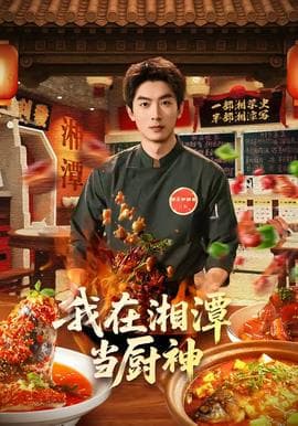我在湘潭当厨神海报