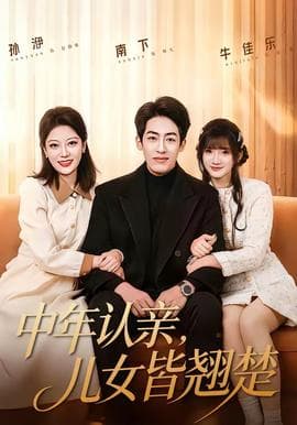 中年认亲，儿女皆翘楚海报
