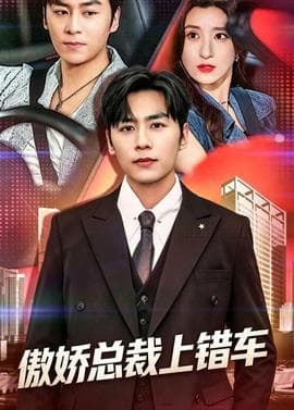 傲娇总裁上错车海报