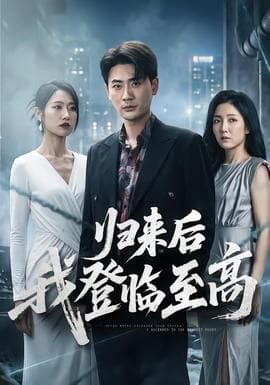 归来后我登临至高海报