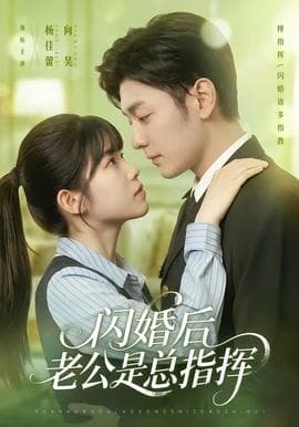 闪婚后老公是总指挥海报
