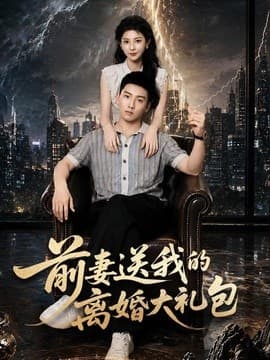 前妻送我的离婚大礼包海报