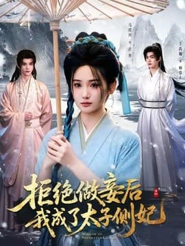 拒绝做妾后我成了太子侧妃 一纸离人愁海报