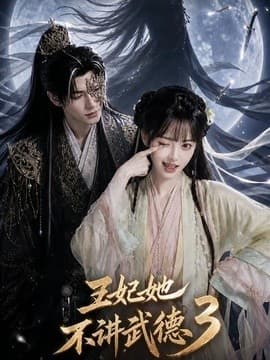 王妃她不讲武德3海报