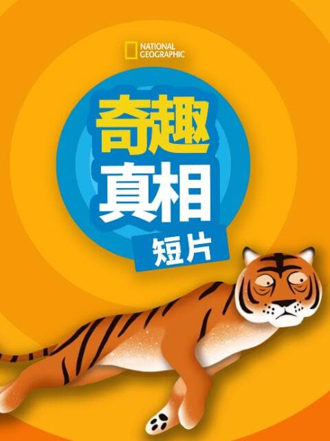 奇趣真相第一季海报