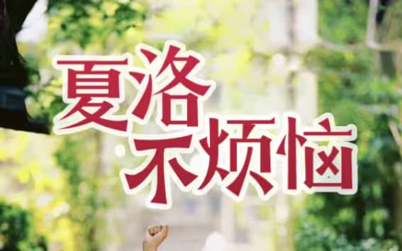 夏洛不烦恼海报